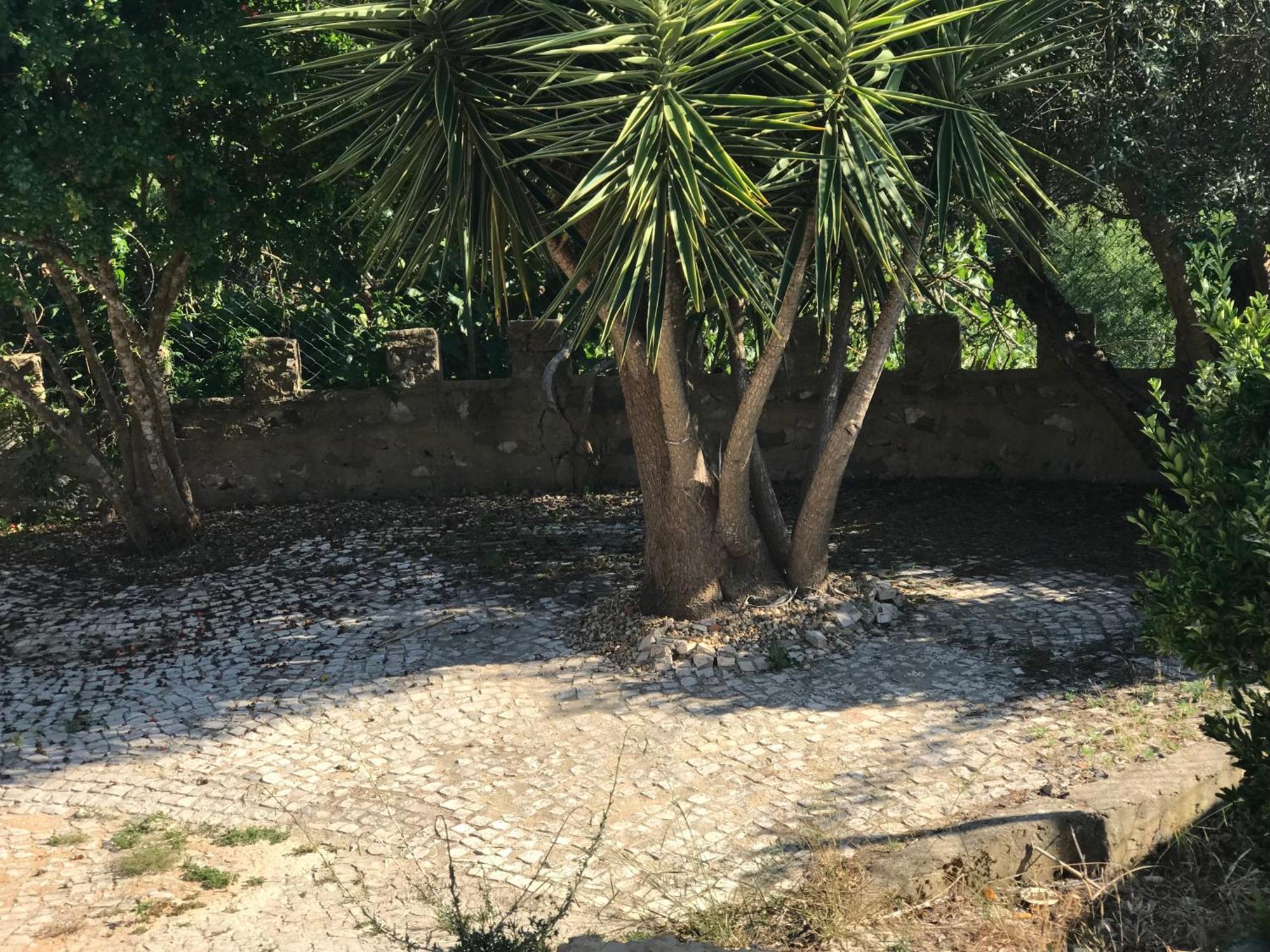 שטובל Quinta Dos Canais מראה חיצוני תמונה