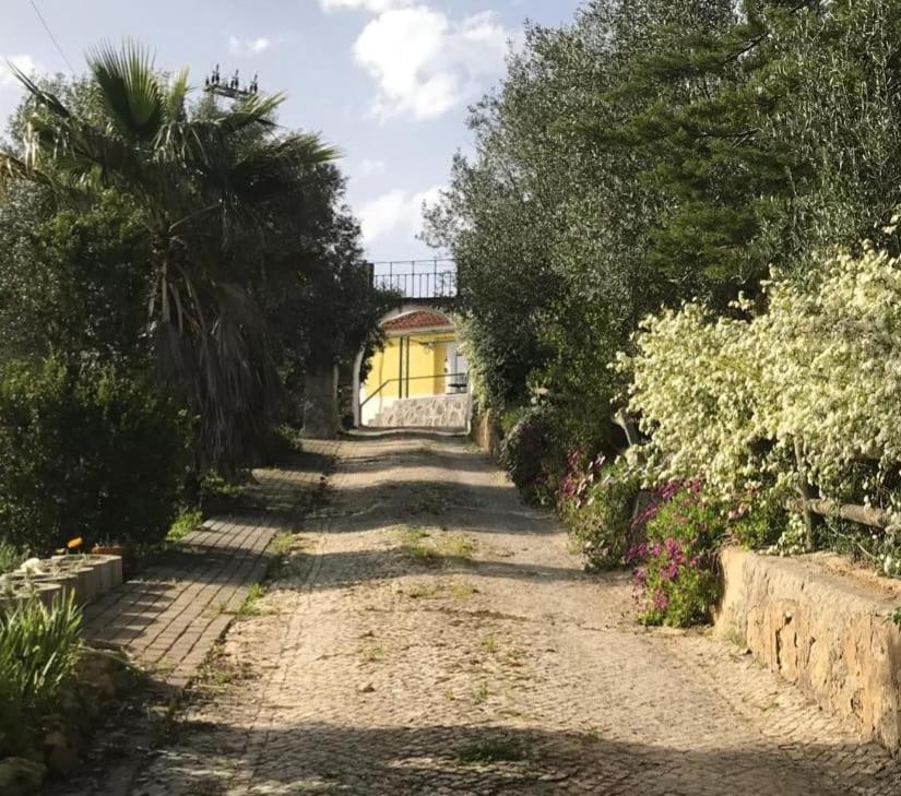 שטובל Quinta Dos Canais מראה חיצוני תמונה