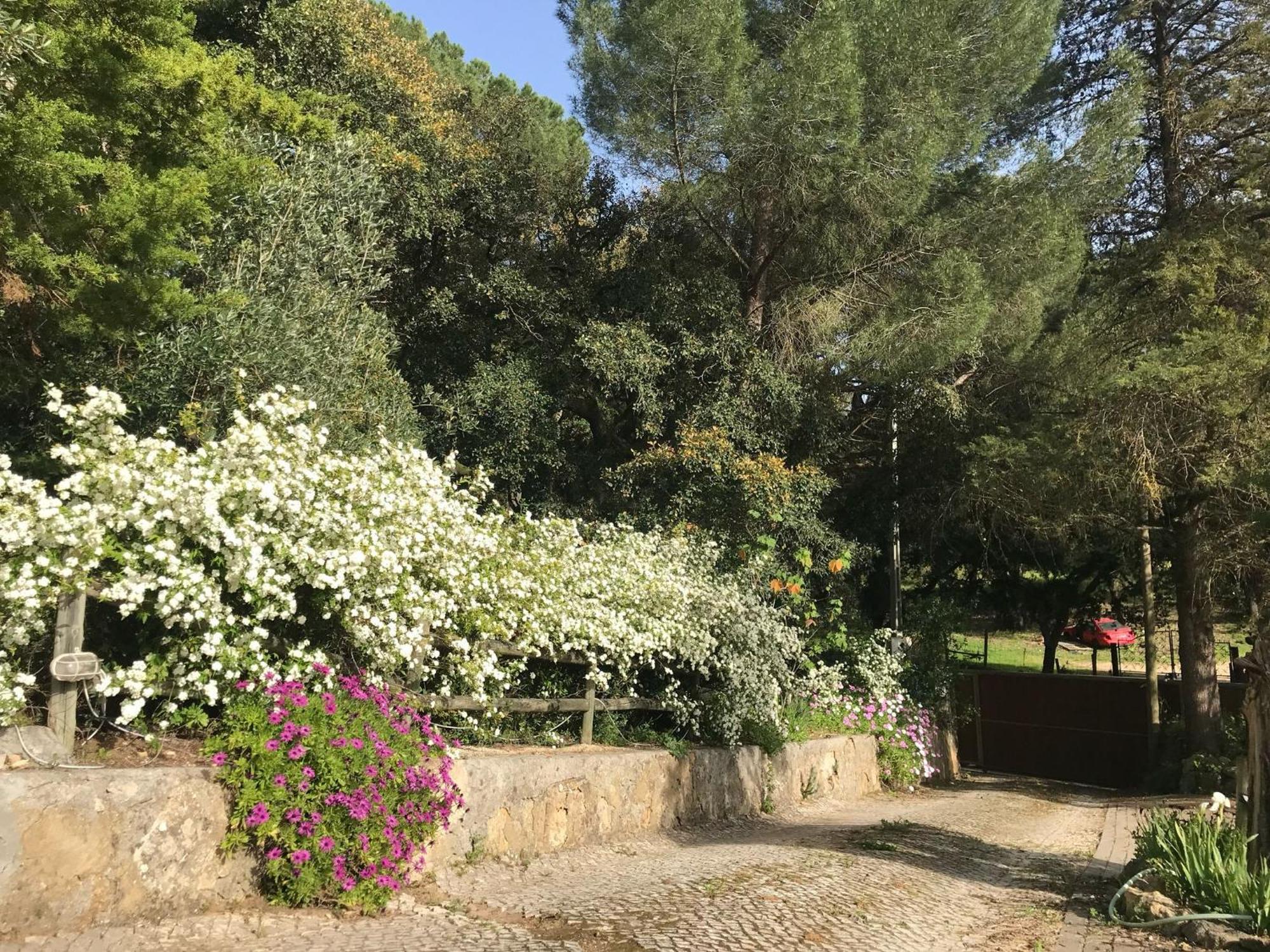 שטובל Quinta Dos Canais מראה חיצוני תמונה