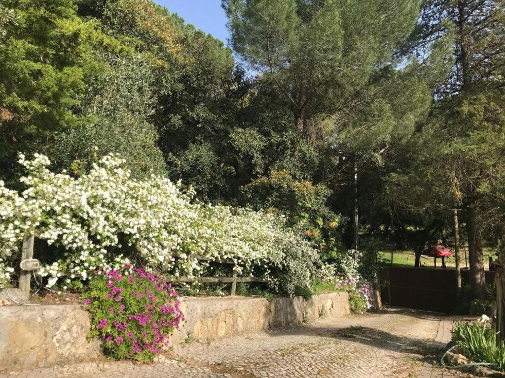 שטובל Quinta Dos Canais מראה חיצוני תמונה